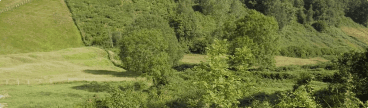 Terreno en Canales 2, Bimenes