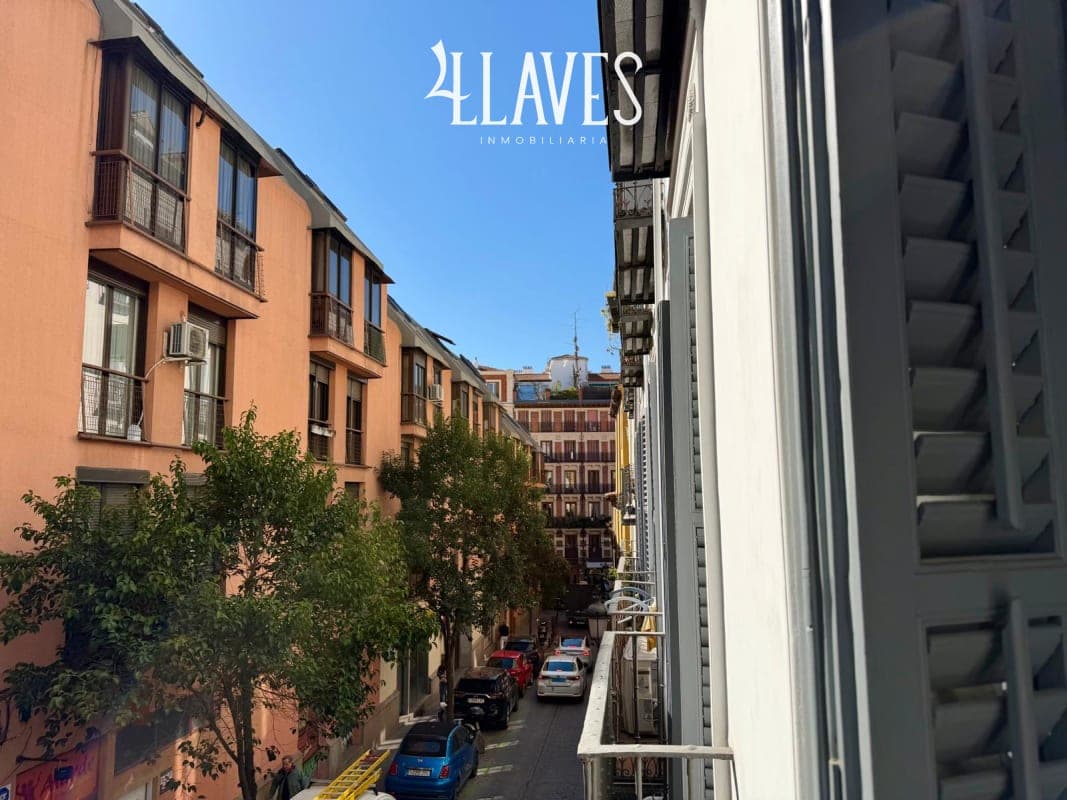 Acogedor Piso en ATOCHA, Antón Martin, Madrid